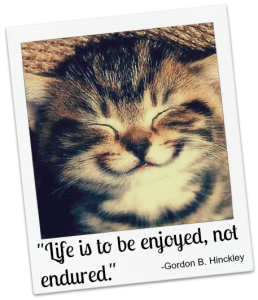 A smiling cat and quote about enjoying life from Gordon Hinckley.